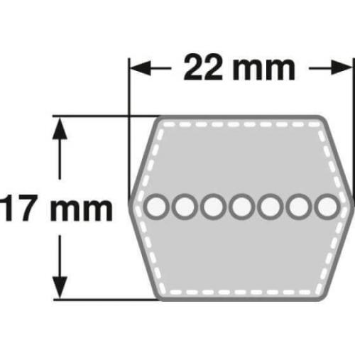 Doppelkeilriemen CC 122 - HCC 3206 mm