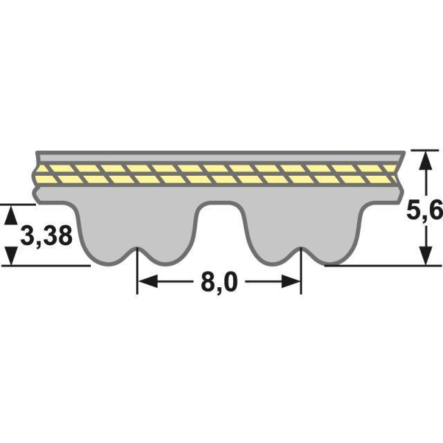 Zahnriemen 1000-RPP8-45 mm